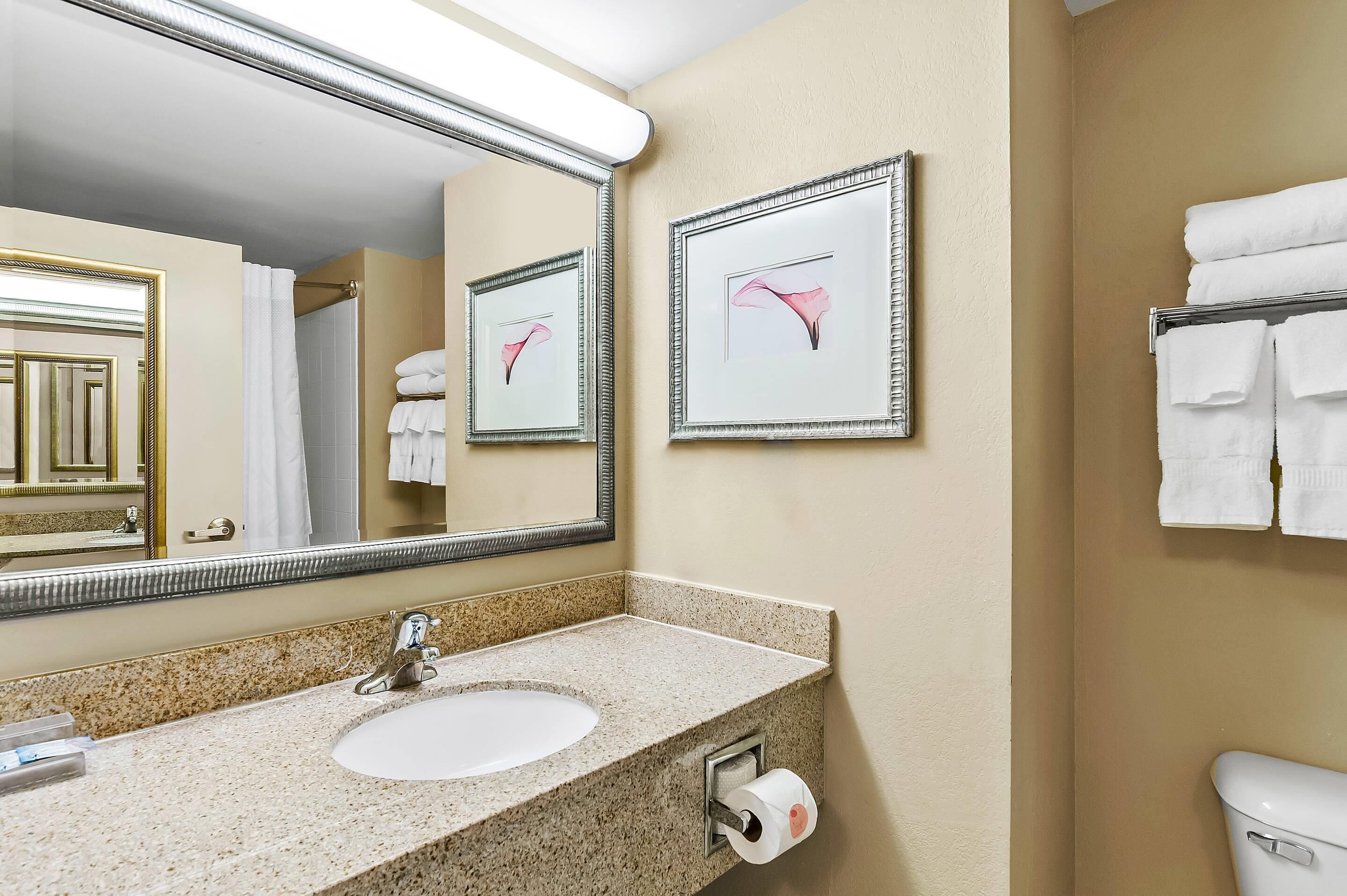 Un bagno con lavabo in granito, uno specchio, quadri incorniciati e un porta asciugamani.