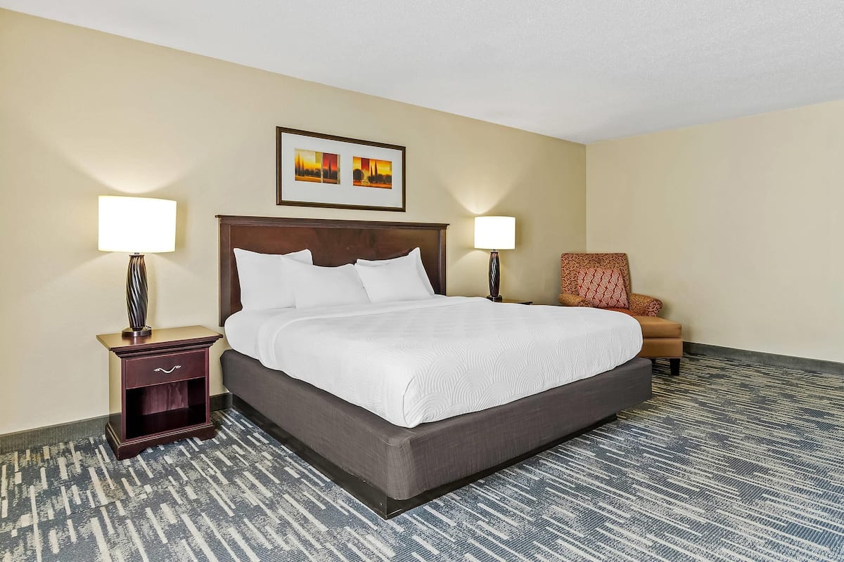 A neatly made bed with white linens, a dark headboard, and two bedside tables with lamps.