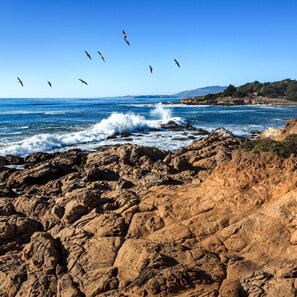 A rocky coastline with waves crashing against the shore and birds flying overhead.