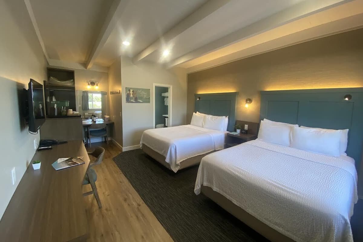 A hotel room with two beds, a desk, a chair, a TV, and a small plant.