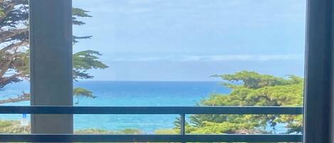 1 King Bed Oceanfront View No Pets | Beach/ocean view