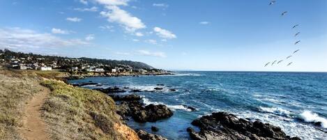 A coastal path with rocky terrain and a view of the ocean.