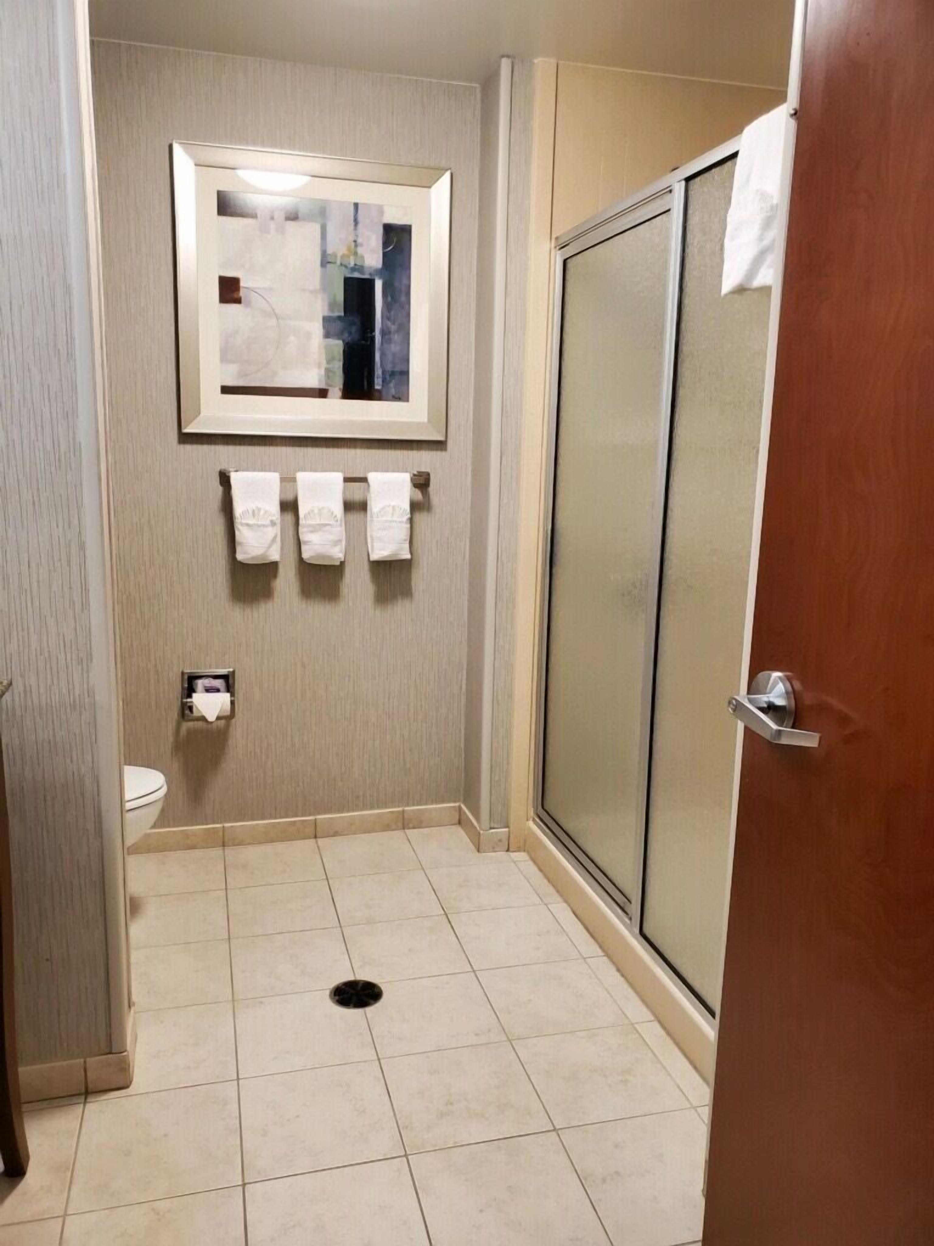 free toiletries, hair dryer, towels