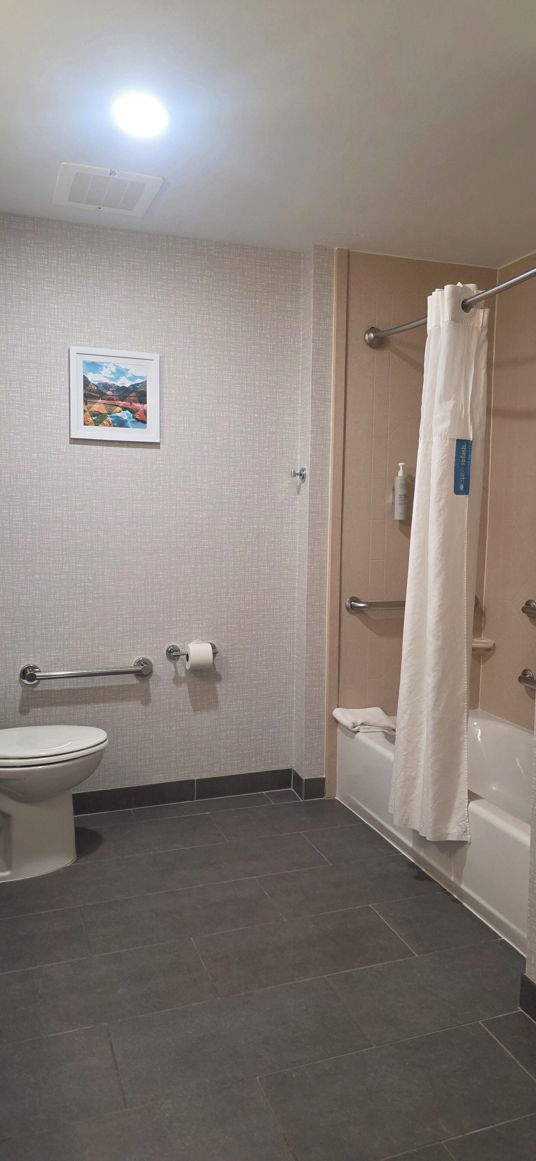 A bathroom with a toilet, a shower, and a bathtub. There is a towel rack and a picture on the wall.