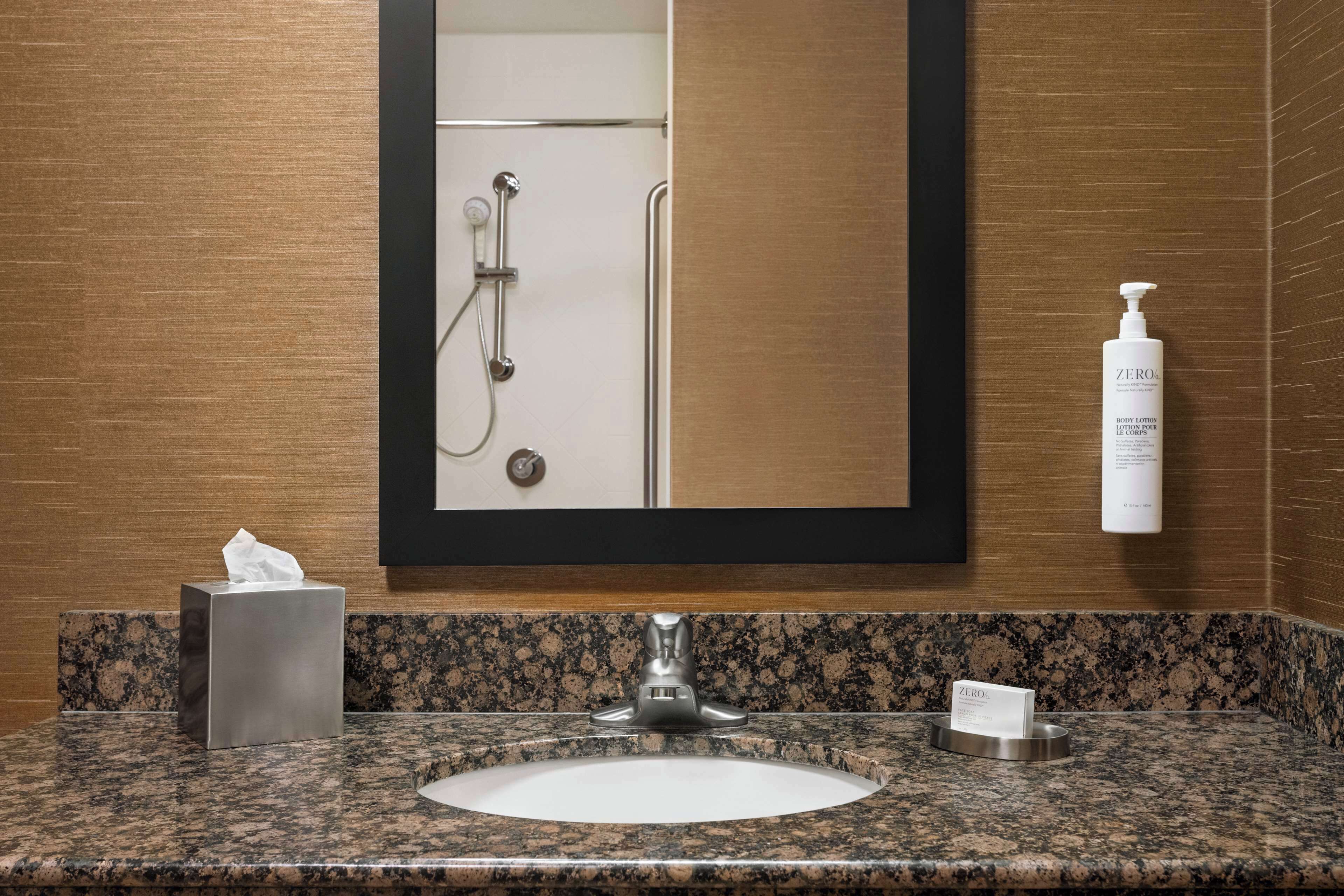 room, 1 king bed, accessible, non smoking | bathroom | free toiletries, hair dryer, towels