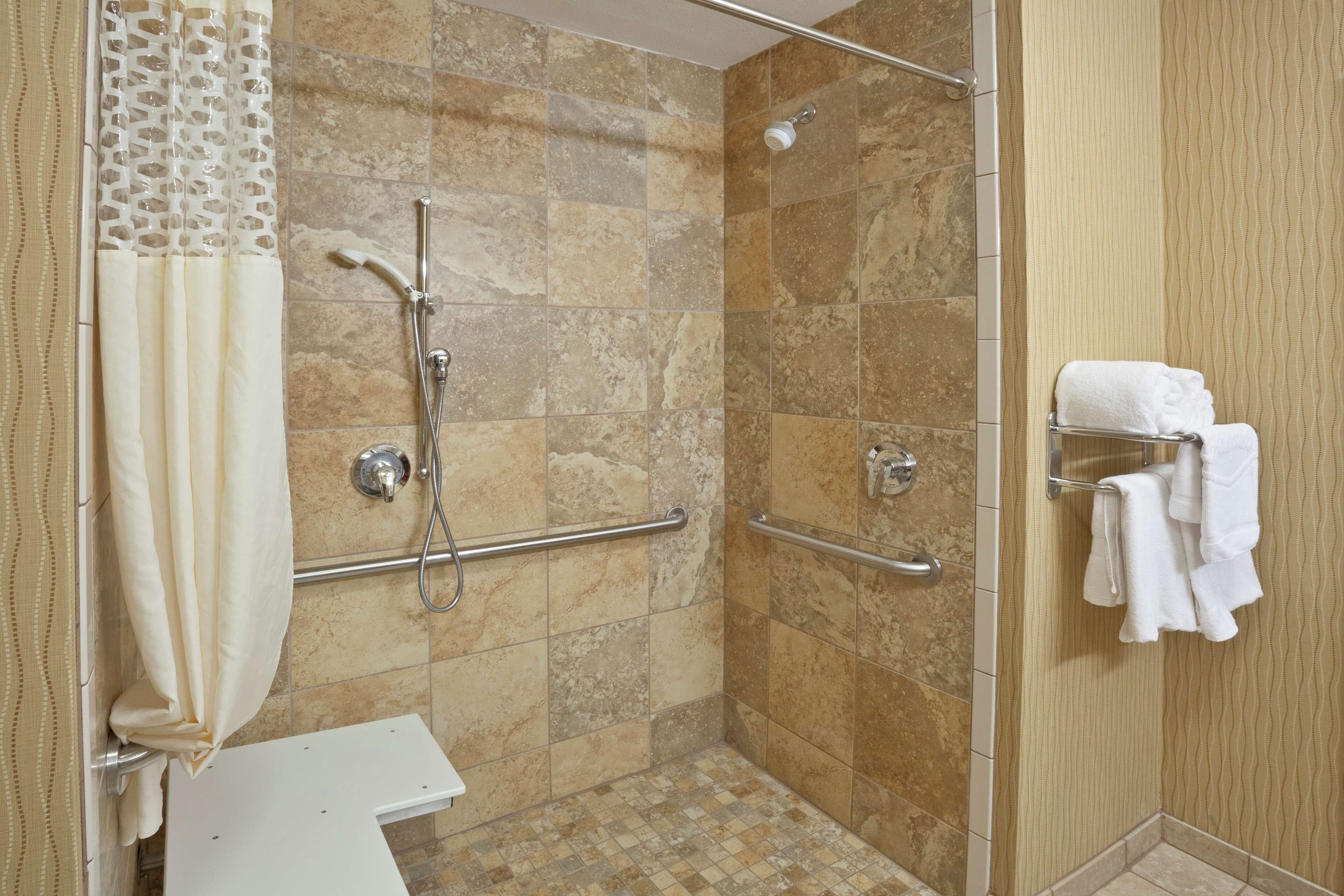 room, 1 king bed, accessible, non smoking | bathroom shower