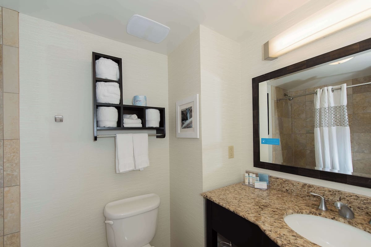 Combined shower/bathtub, free toiletries, hair dryer, towels