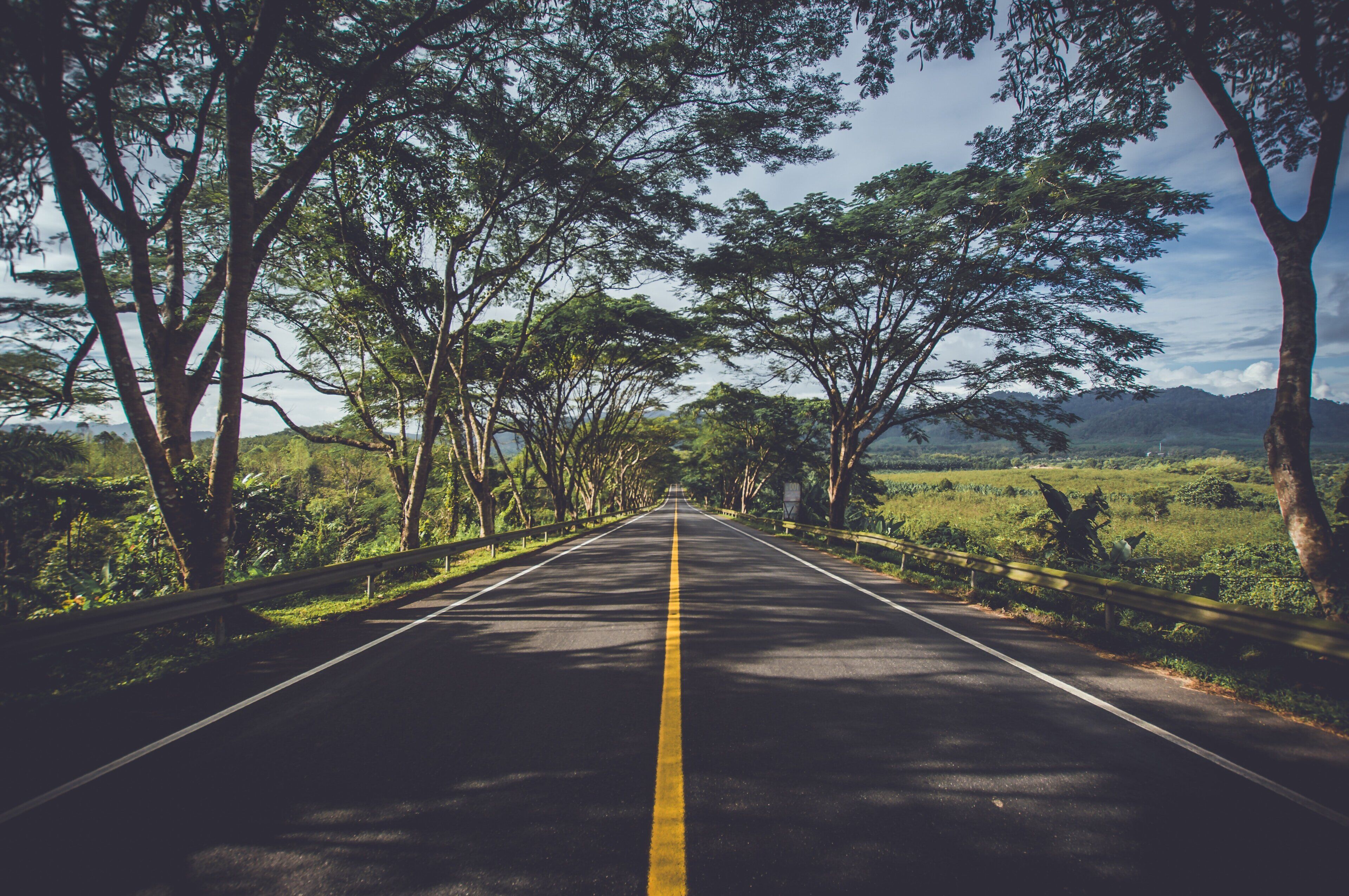 Eine gerade Straße, gesäumt von Bäumen und einer Leitplanke, die in eine hügelige Landschaft führt.