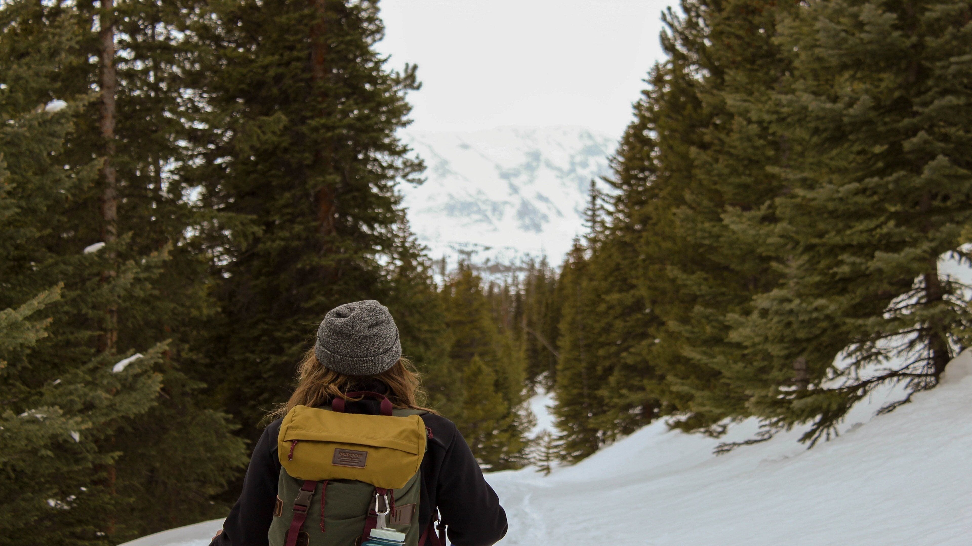 A person hiking in a snowy forest with dense trees and a mountain in the background.