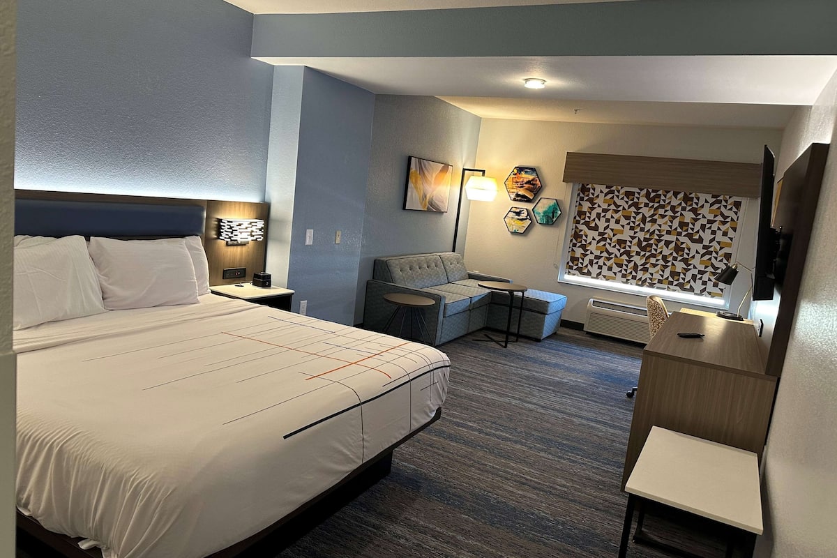 deluxe room, 1 king bed, non smoking (deluxe executive room) | premium bedding, down duvets, pillow-top beds, desk