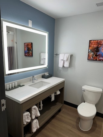 Premium bedding, down duvets, pillow-top beds, desk. La Quinta Inn & Suites by Wyndham Macon West