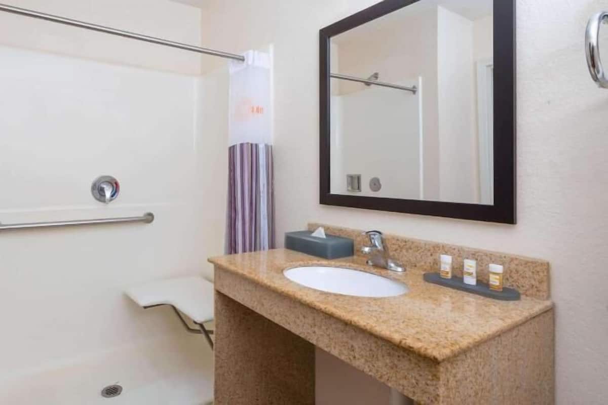Ein Badezimmer mit Dusche, Haltegriff, Waschbecken, Spiegel und Toilettenartikeln.