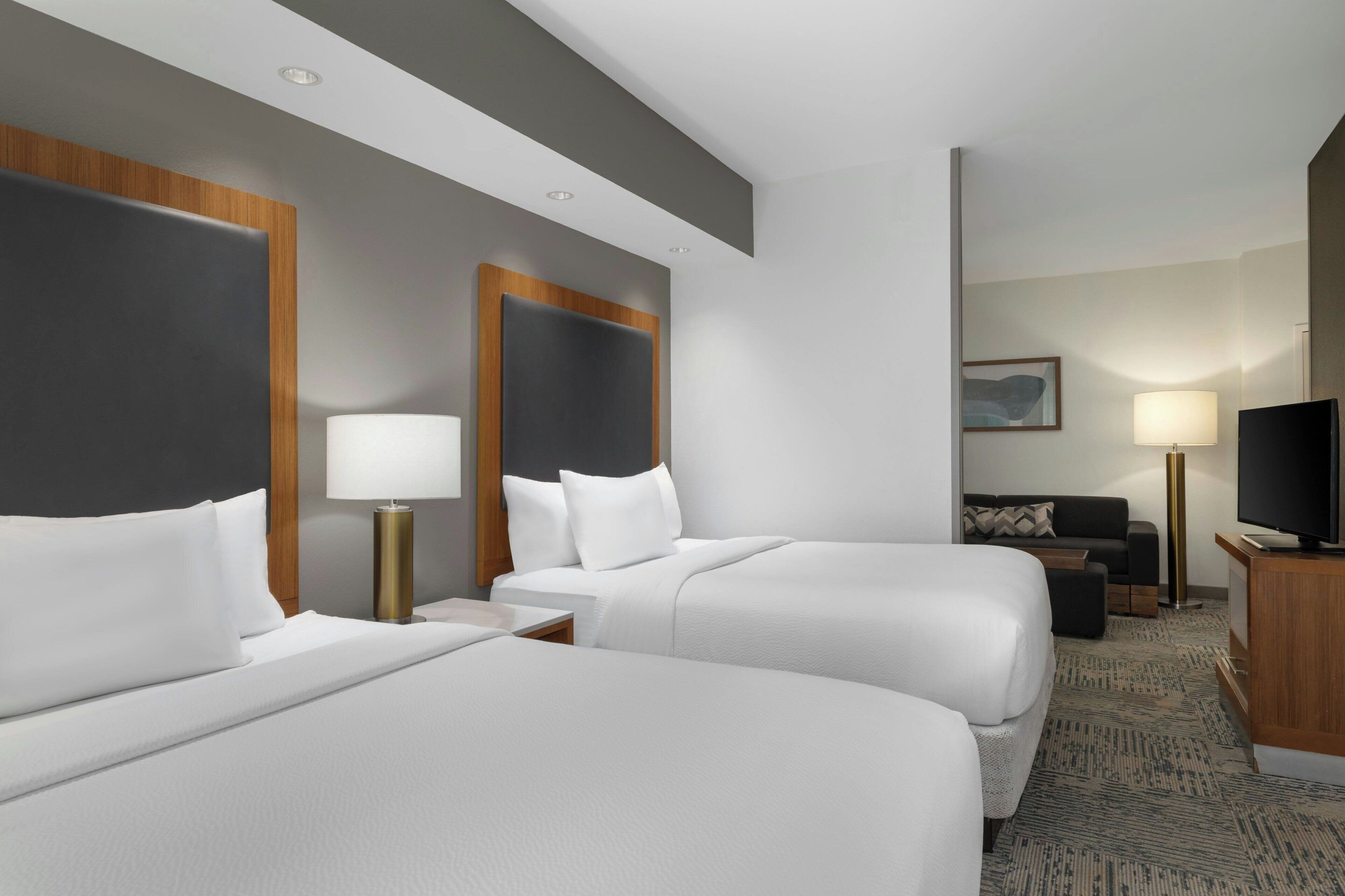 Habitación de hotel con dos camas, un sofá, un televisor y una lámpara.