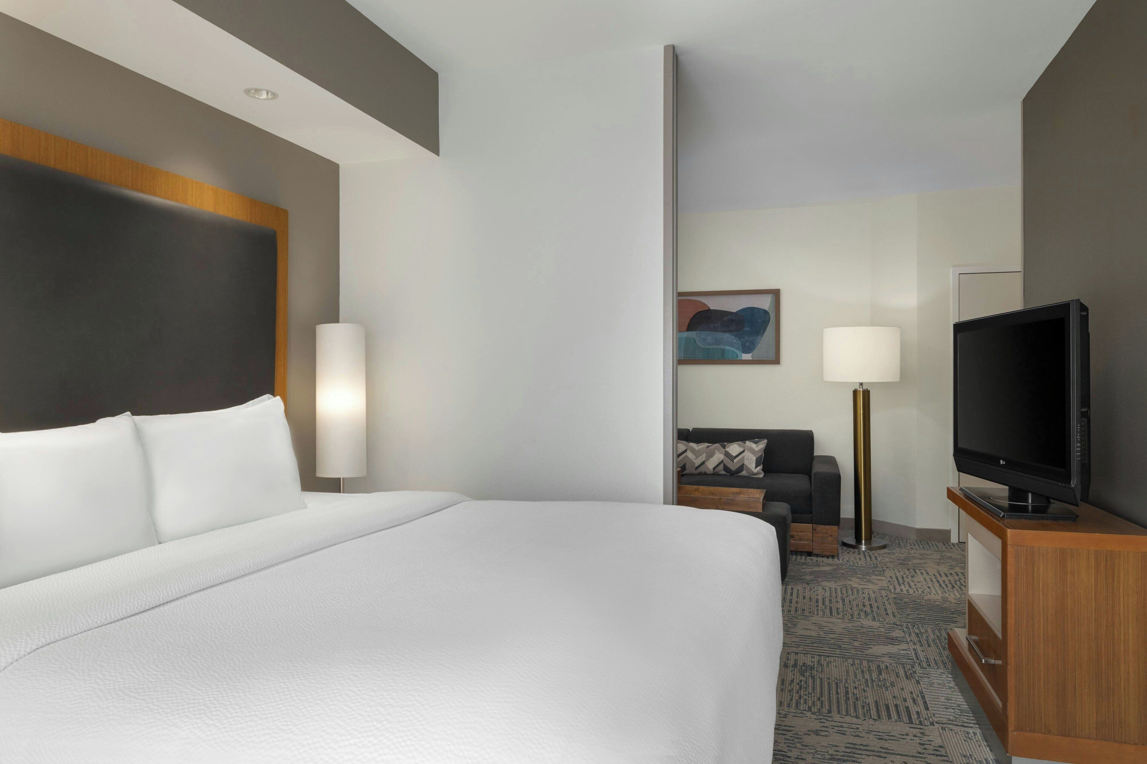 Una habitación de hotel con una cama grande, un televisor sobre un soporte de madera y un sofá con un cojín estampado.