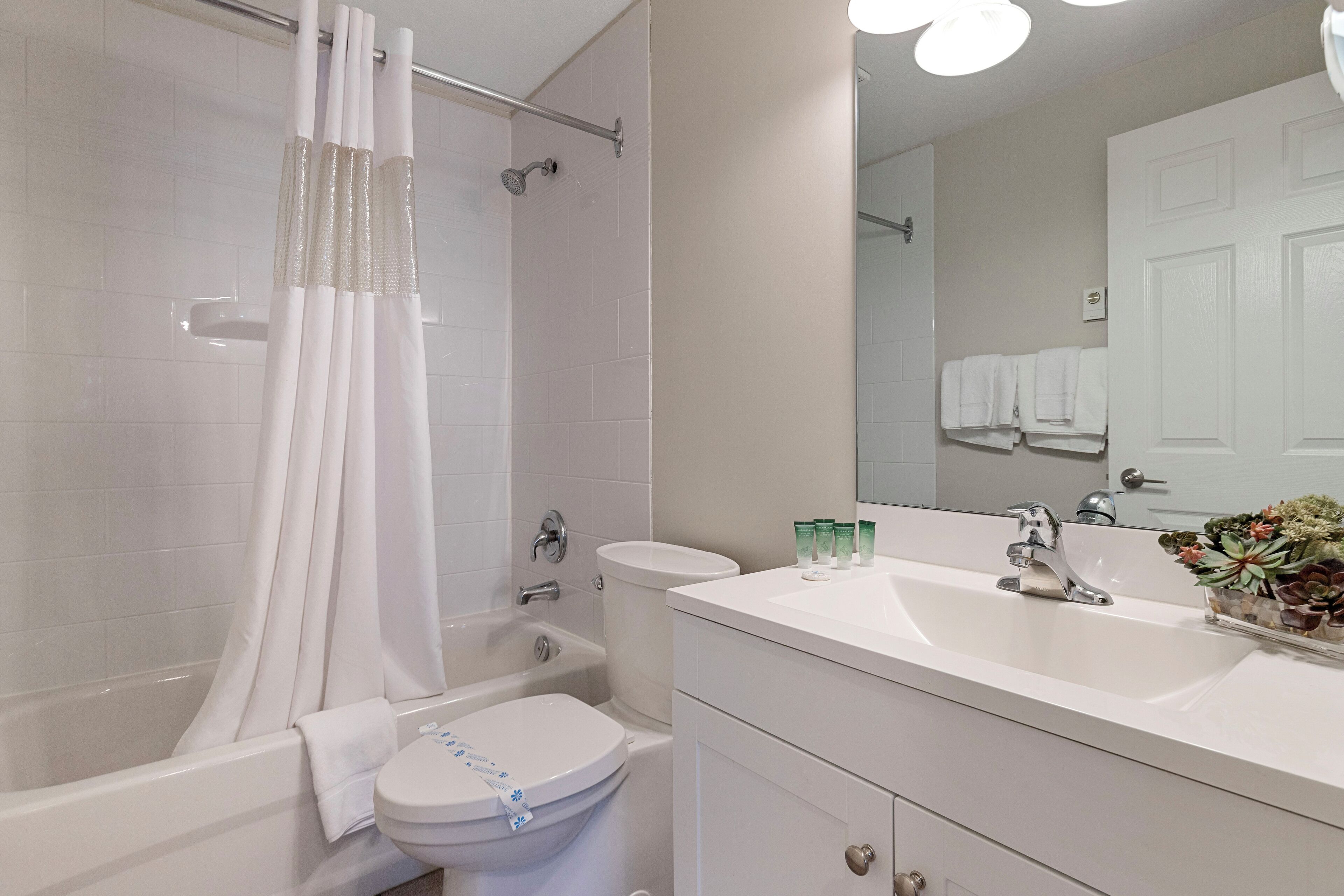 Une salle de bain avec une baignoire, des toilettes et un lavabo.