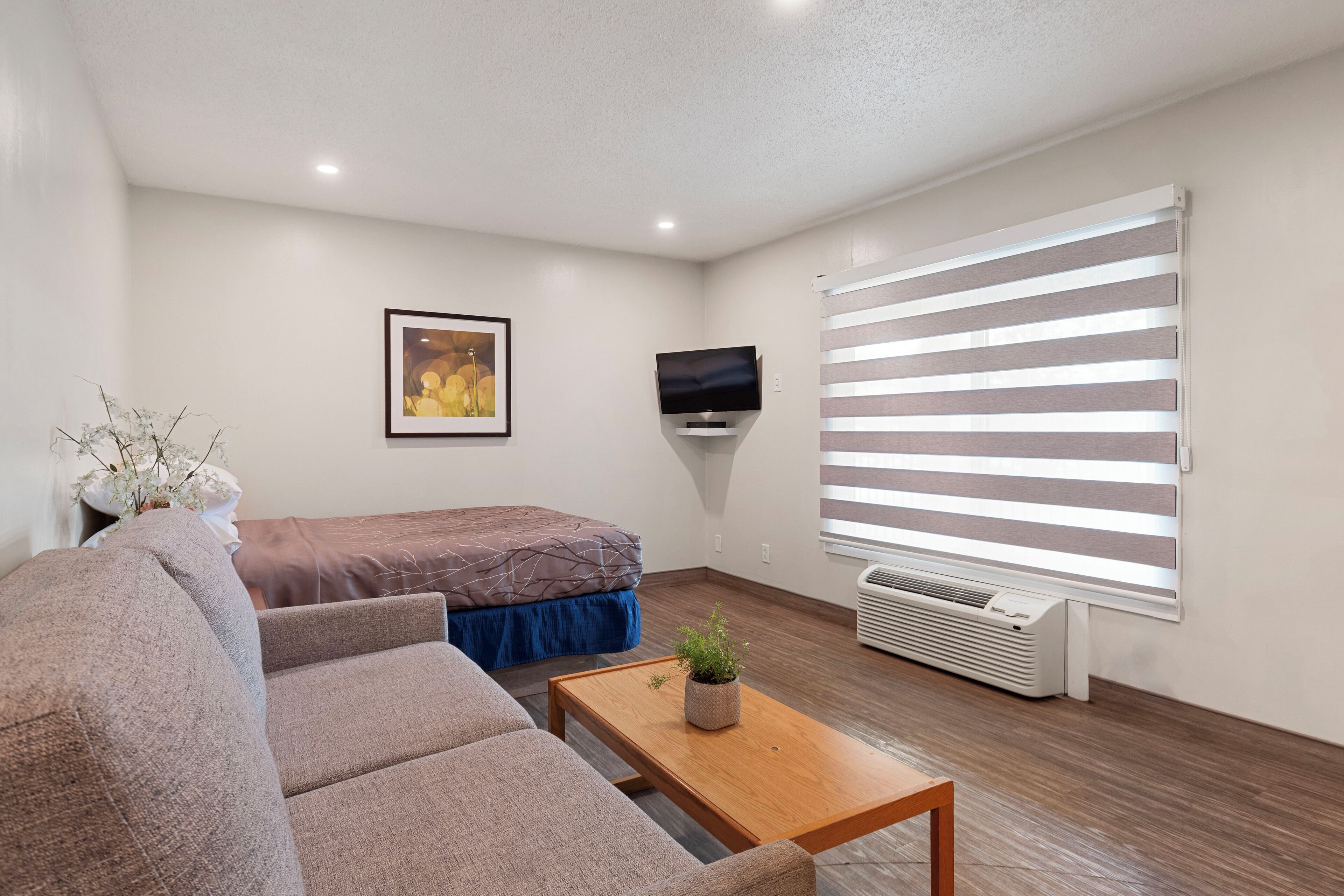 Un salon moderne avec un canapé, une petite table sur laquelle est posée une plante, un lit recouvert d’une couverture bleue, un téléviseur fixé au mur et une grande fenêtre avec des stores.