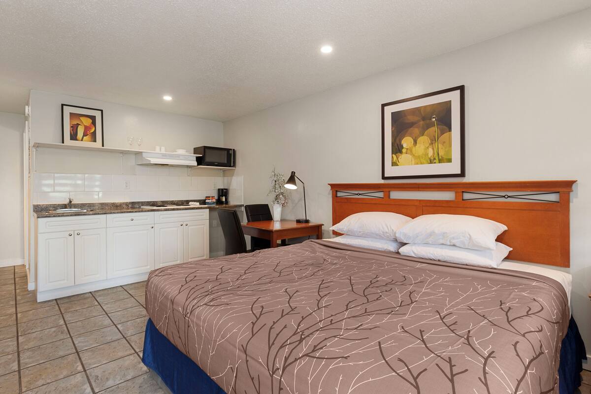 A hotel room with a bed, a desk, a chair, a microwave, and a sink.