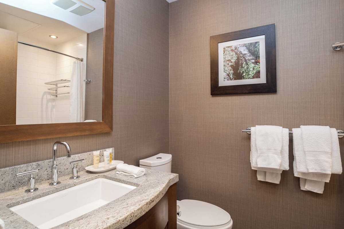 shower, rainfall showerhead, free toiletries, bathrobes