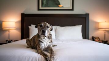 Un perro recostado en una cama en una habitación de hotel, con un cuadro en la pared y lámparas a ambos lados.