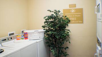 A laundry area with a sign indicating free washers and dryers, a basket, and a plant.