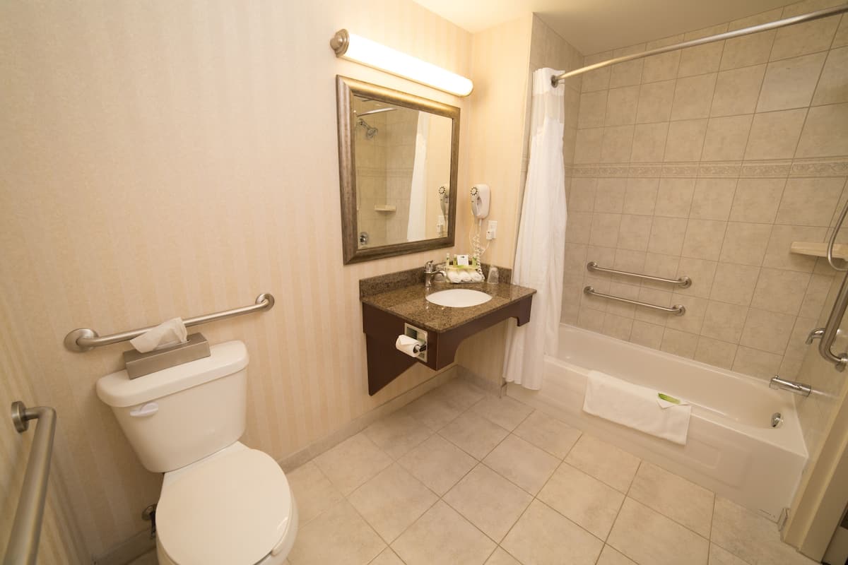 A bathroom with a toilet, sink, mirror, shower, and grab bars.