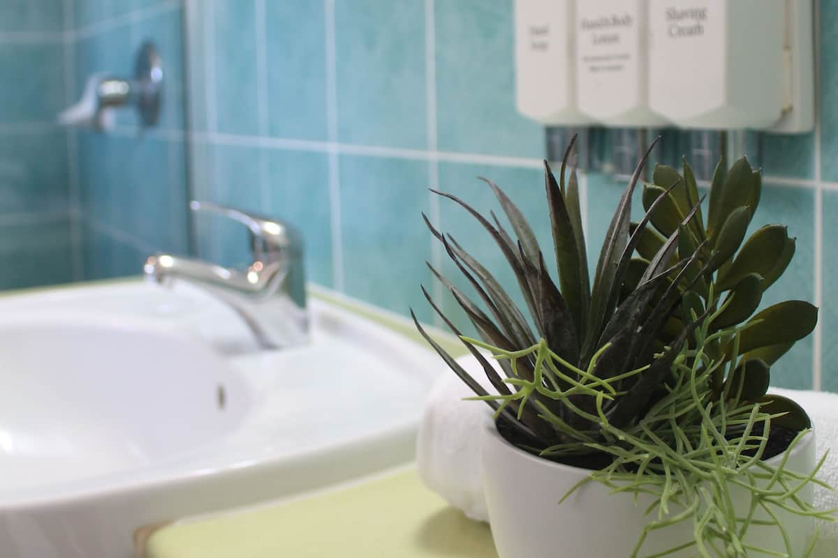 economy studio, 1 queen bed | bathroom | shower, free toiletries, hair dryer, towels