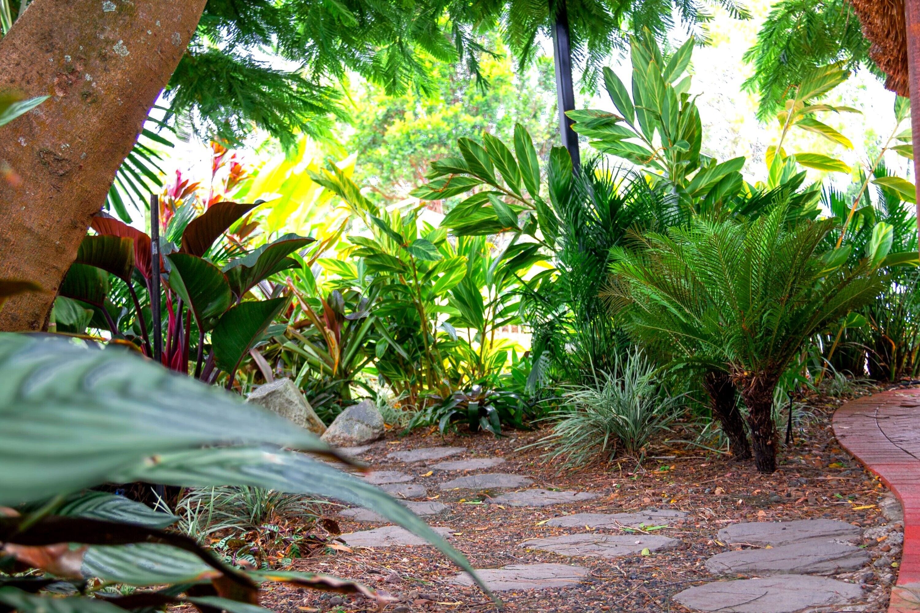 Vue sur le jardin