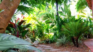 A stone pathway surrounded by lush tropical plants and a red curb. - At The Sound (Noosaville)