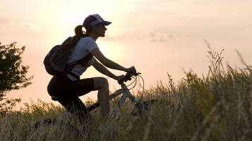 A person riding a bicycle on a grassy hill during sunset.
