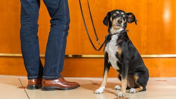 Una persona de pie junto a un perro con correa.