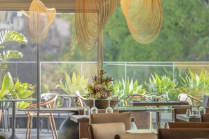 2 间餐厅，供应晚餐，国际美食