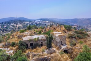 Hiking - Tzuba Hotel (Mateh Yehuda)