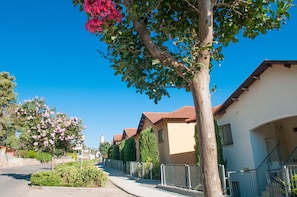 Jardim