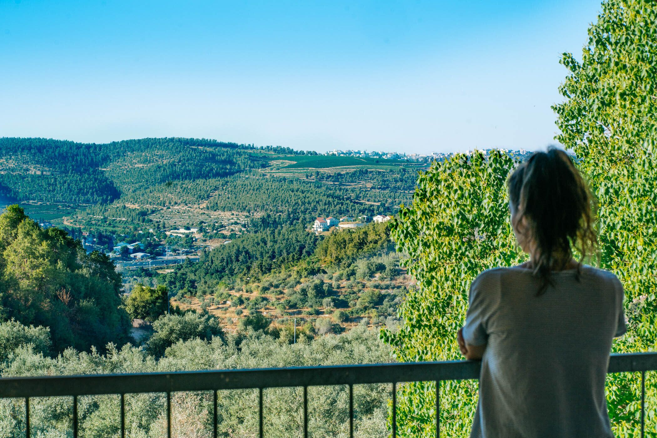 Classic Suite, Balcony | View from room