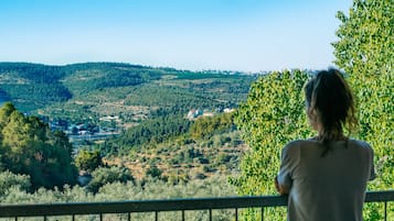 Classic Suite, Balcony | View from room