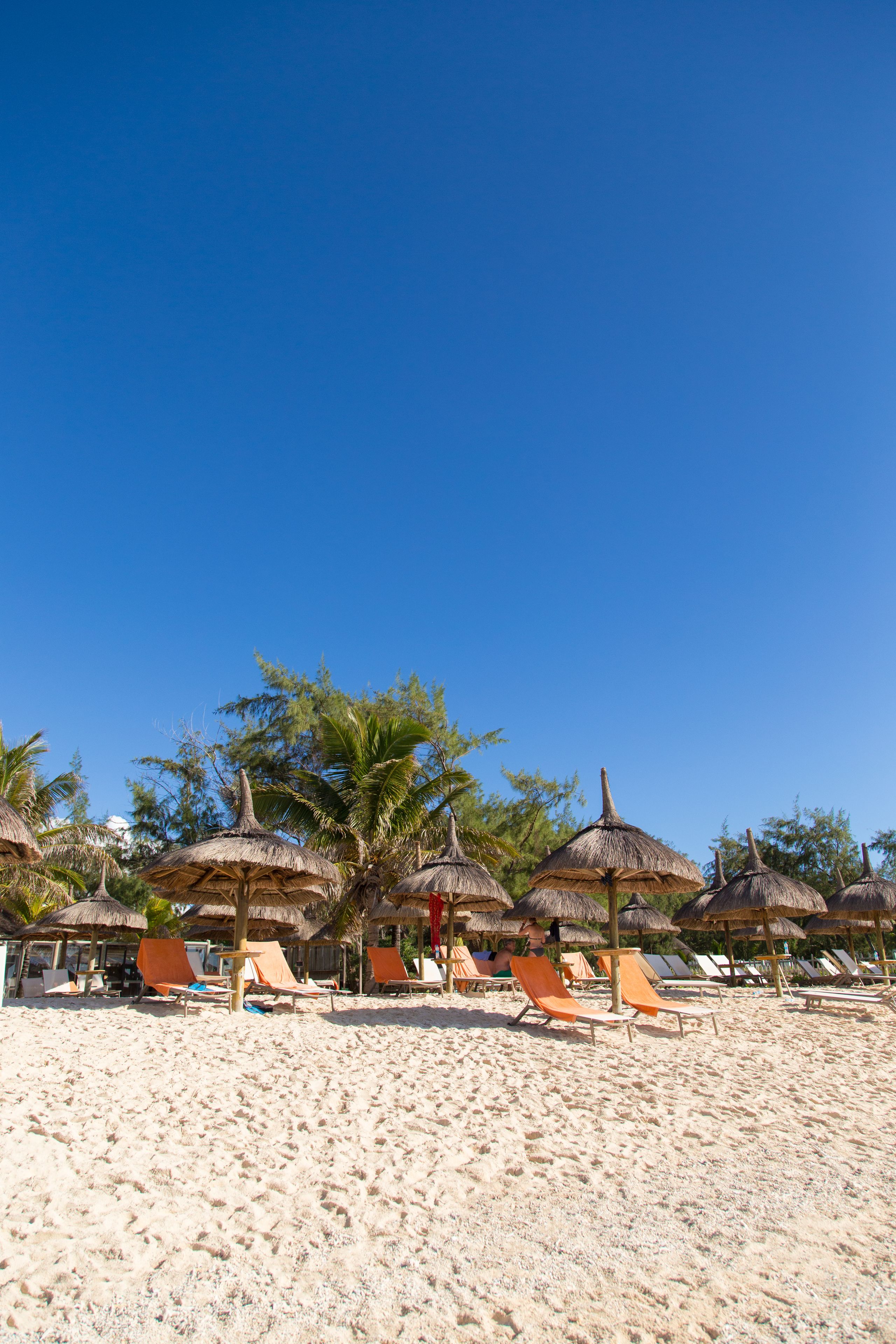 A beach with rows of sun loungers and thatched umbrellas, palm trees, and clear blue skies.