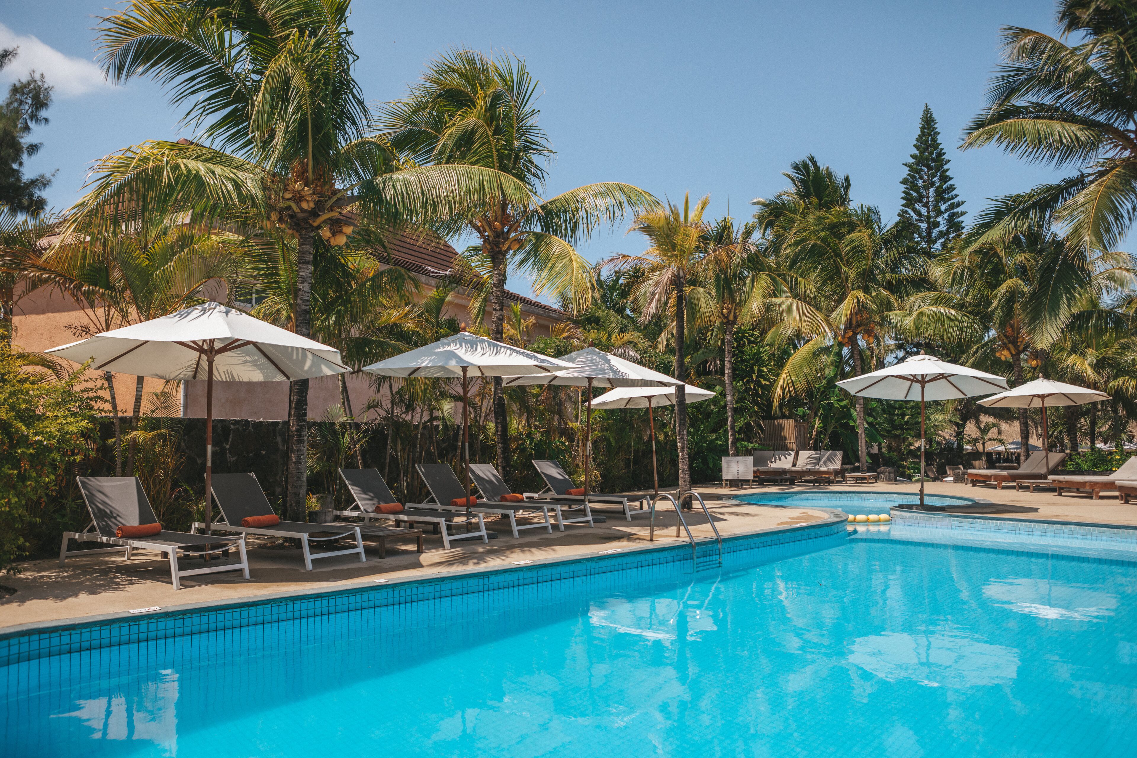 A swimming pool with lounge chairs and umbrellas, surrounded by palm trees.