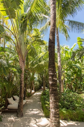 Jardín