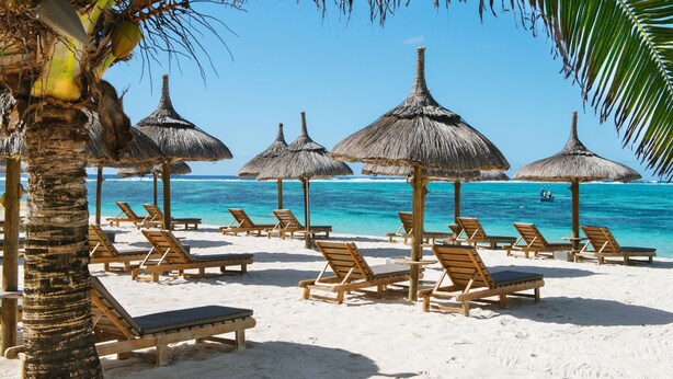 A beach with wooden lounge chairs and thatched umbrellas, a palm tree, and a clear blue sea.