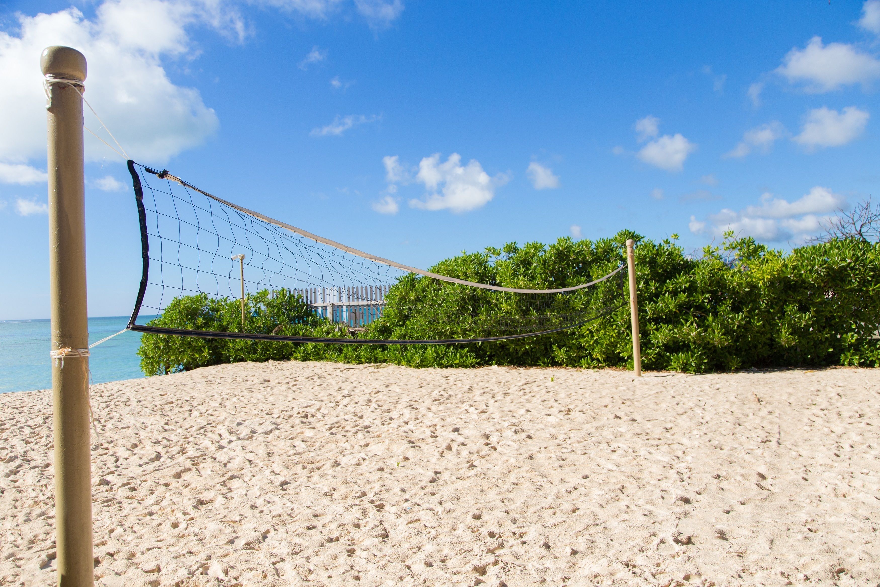 A beach volleyball net on a sandy beach with a clear blue sky and green foliage in the background.