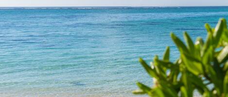 A beach with clear blue water and a sandy shore.