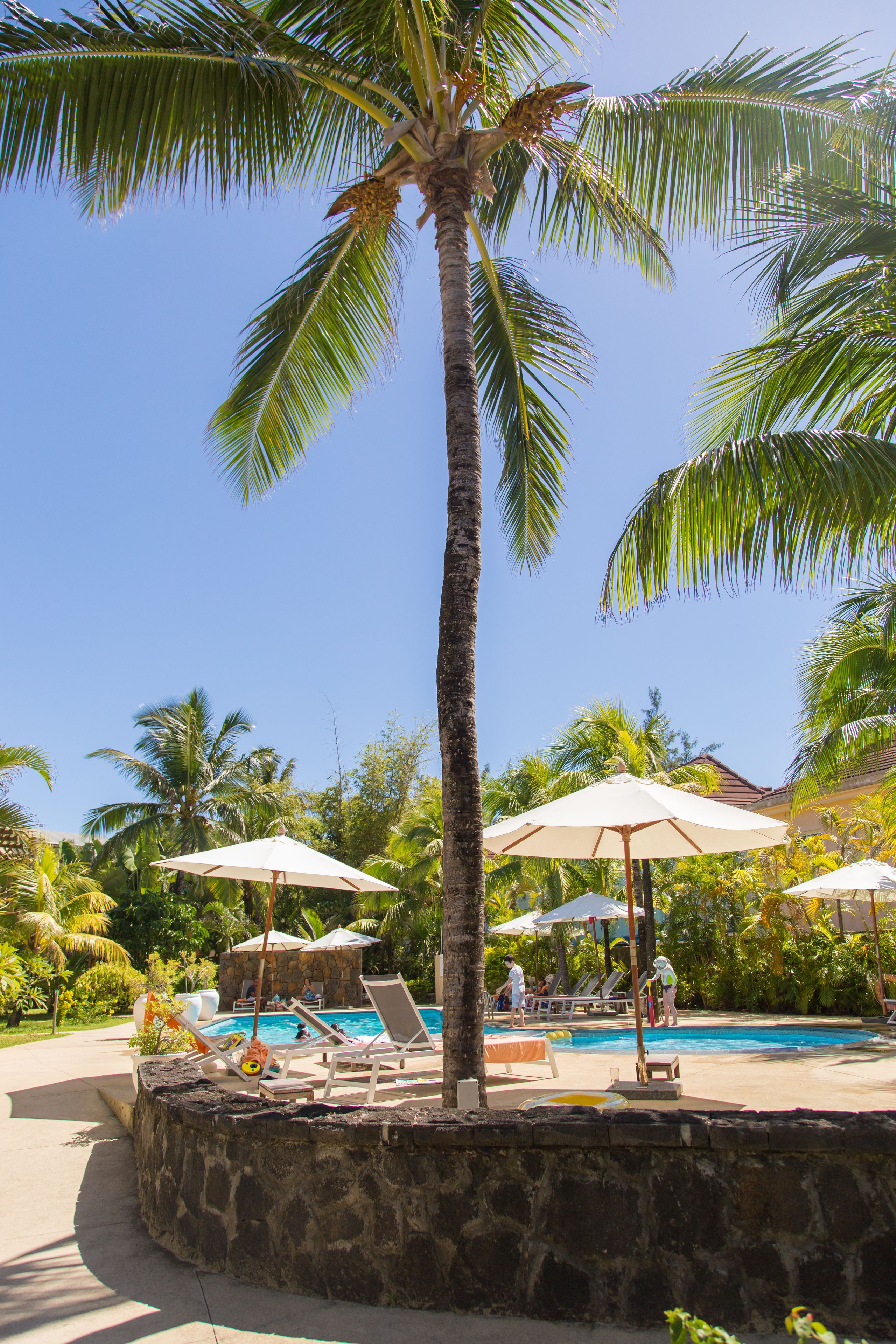 outdoor pool, pool loungers