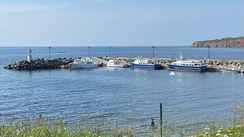 A coastal marina with several boats docked at a stone pier, surrounded by grassy areas and a clear sky.