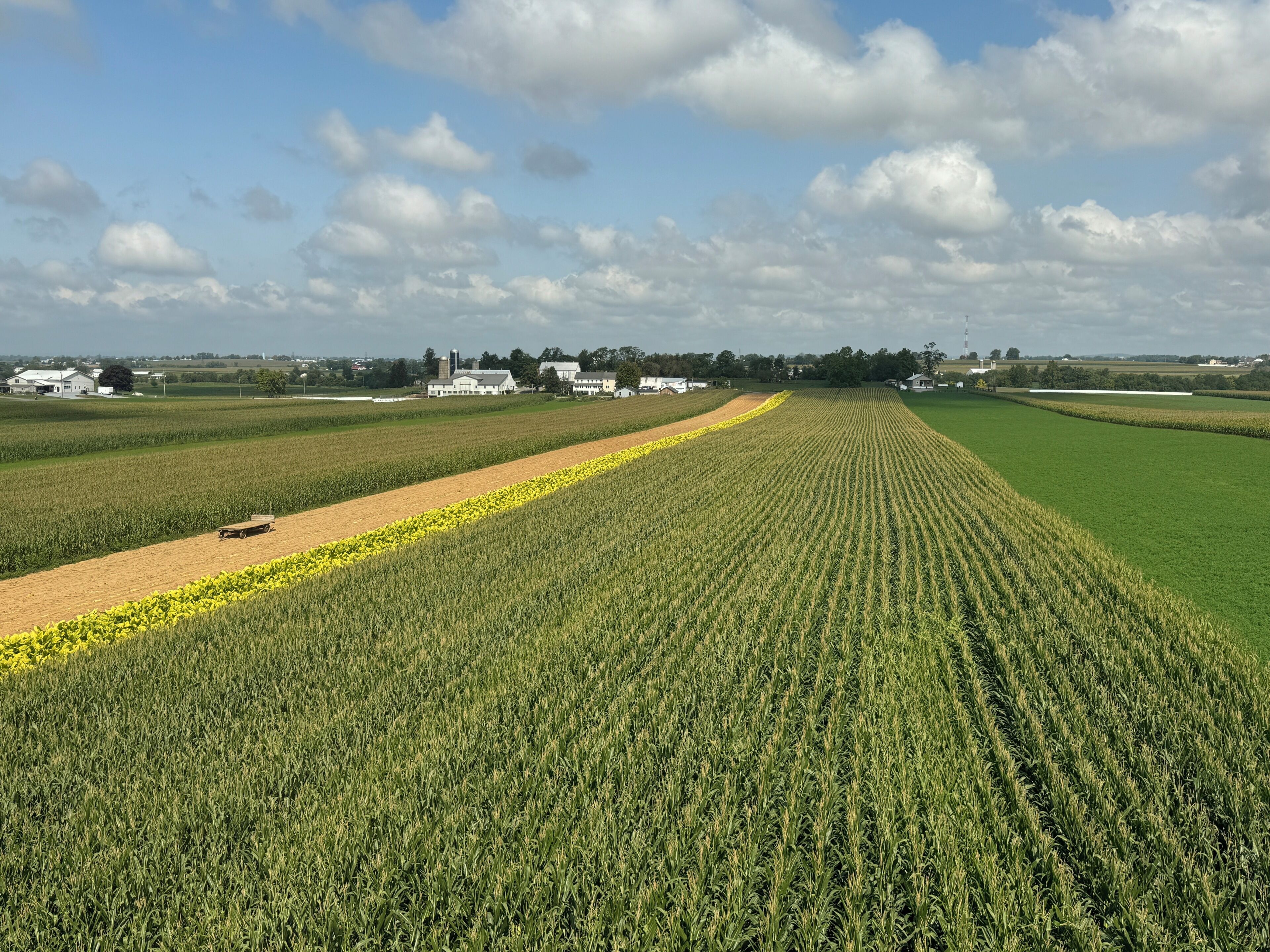 Un extenso campo agrícola con un tractor a la distancia, rodeado de edificios y árboles bajo un cielo parcialmente nublado.