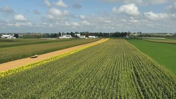 Un extenso campo agrícola con un tractor a la distancia, rodeado de edificios y árboles bajo un cielo parcialmente nublado.