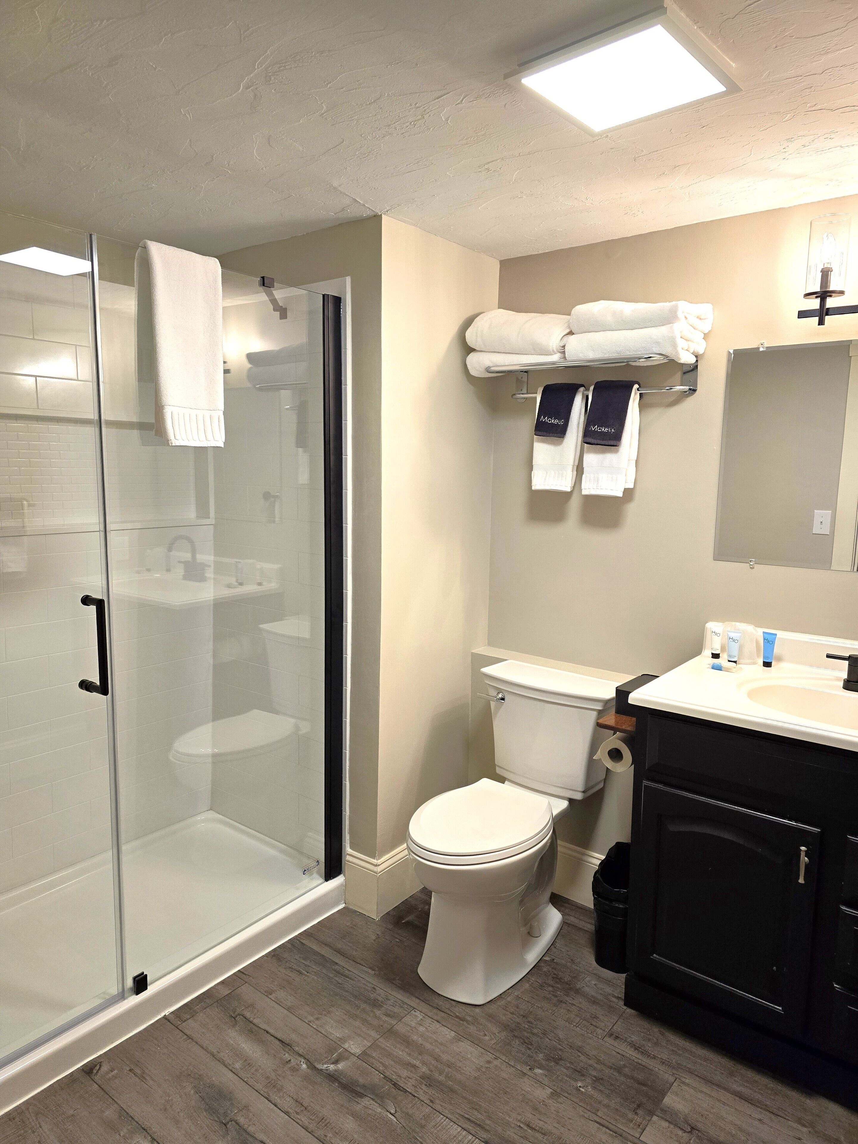 A modern bathroom with a glass shower enclosure, a toilet, and a vanity with a mirror.