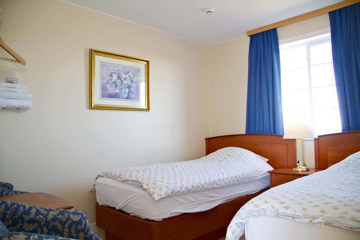 A hotel room with two single beds, a wooden headboard, a bedside table with a lamp, a framed picture on the wall, and a window with blue curtains.