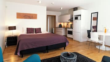 Studio Apartment - Bergstadastraeti 12