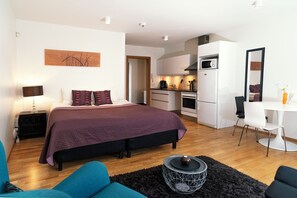 Studio Apartment - Bergstadastraeti 12 | 客房内保险箱、隔音、免费婴儿床、免费 WiFi