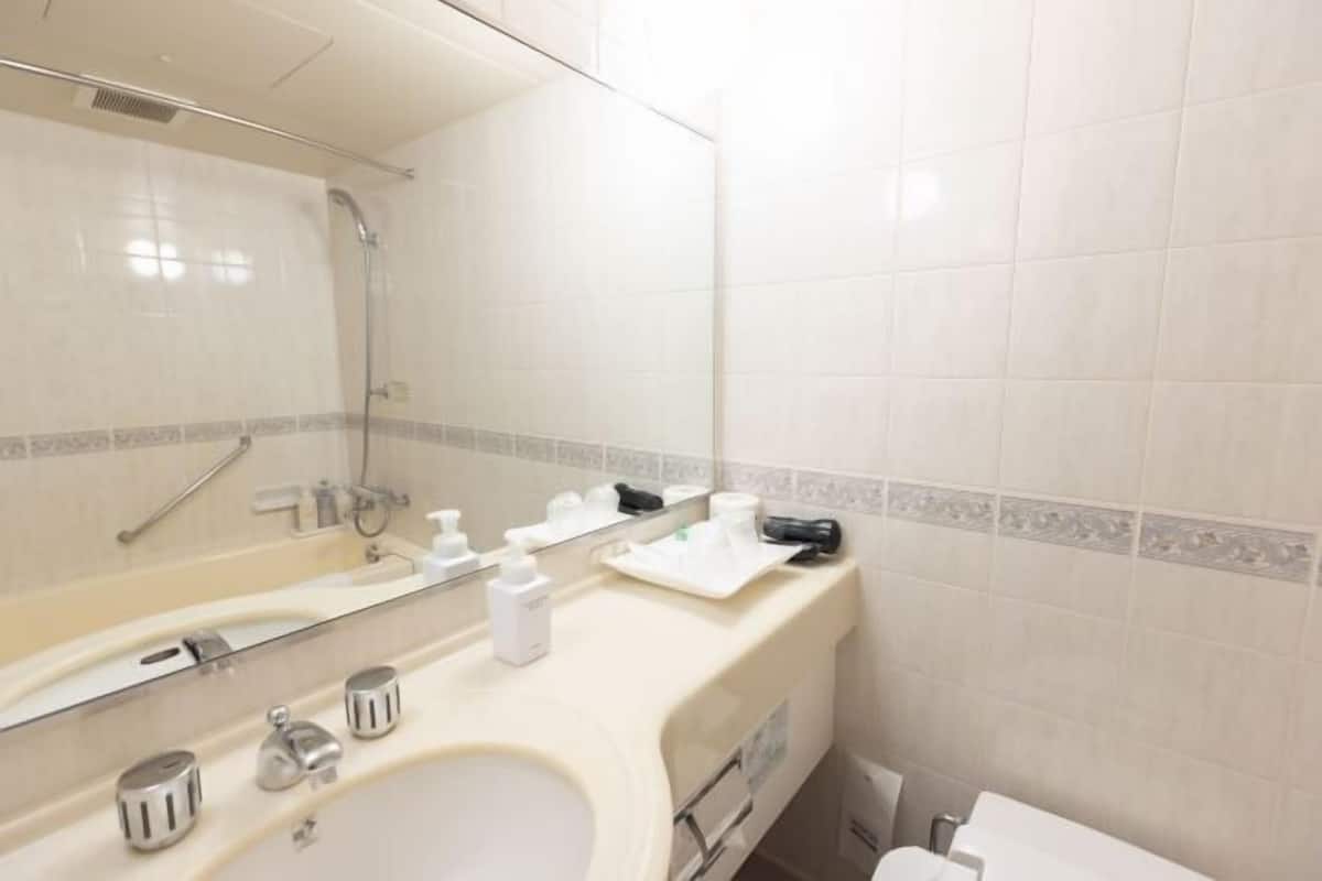 Combined shower/bathtub, free toiletries, hair dryer, slippers